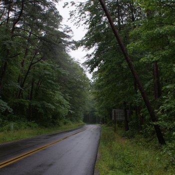 The Plank Road