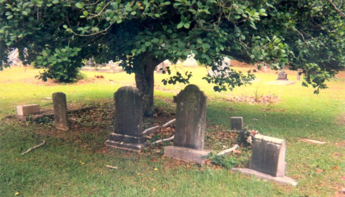 Graves of Ann Butler and others, Greensboro City Cemetery, Greensboro, Alabama