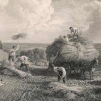 Farmers stacking hay