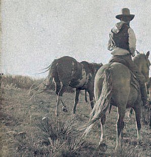 on horseback