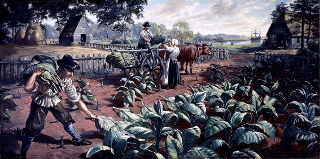 Tobacco Cultivation