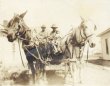 Mule-drawn wagon