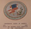 Confederacy Medallion Mural