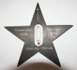 Texas Centennial Souvenir Thermometer
