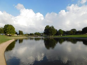Pond? or Lake?