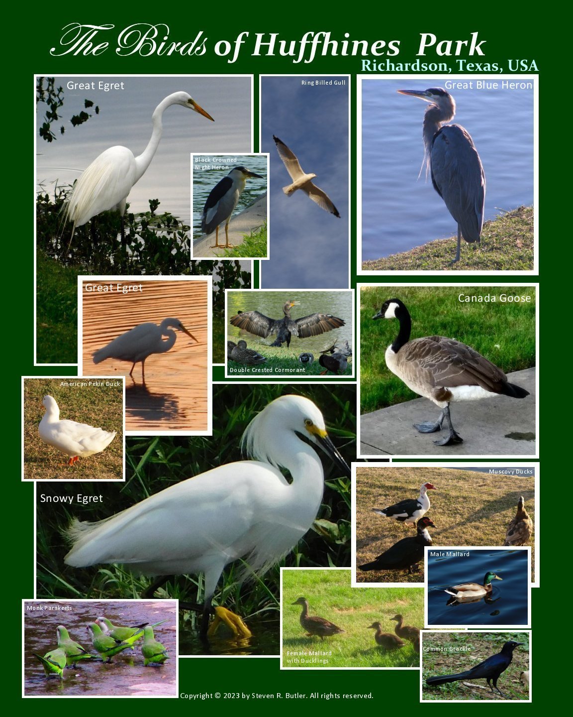 The Birds of Huffhines Park Poster