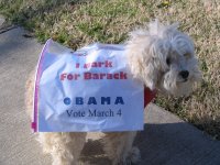 Bark for Barack