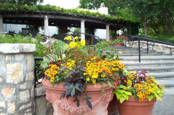 Arboretum Flowers