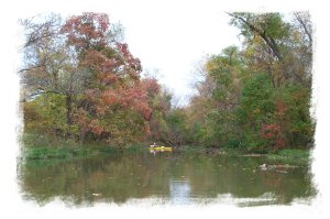 Dixon Branch