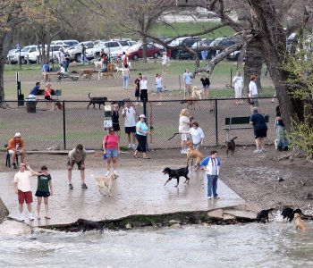 Mockingbird Park Dog Park