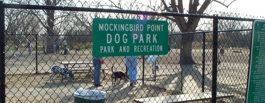Mockingbird Point Off-Leash Dog Park