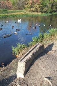 Footbridge Remnant