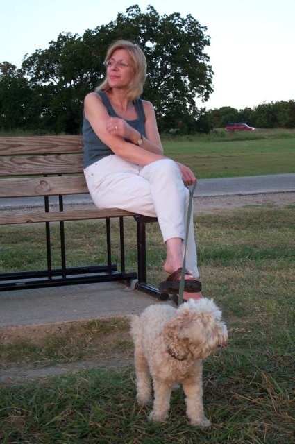 Shoreline Bench