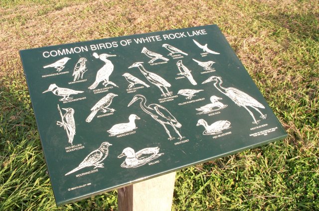 Bird Identification Plaque