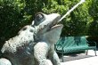 Squirting Frogs