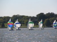 White Rock sailboats