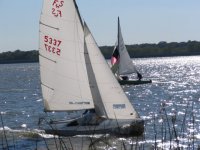 White Rock sailboats