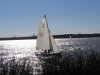 White Rock sailboats