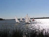 White Rock sailboats