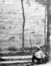 Figure standing on spillway catwalk