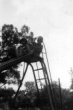 Steven Butler and playmate at Stone Tables Playground, circa 1954