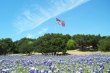 Flag Pole Hill Bluebonnets