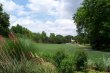 Arboretum Meadow